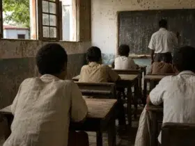 4 clássicos brasileiros infância e escola