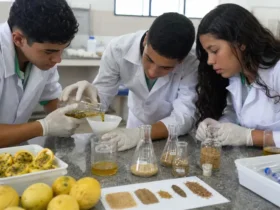biocompósito de maracujá Sustainpoly