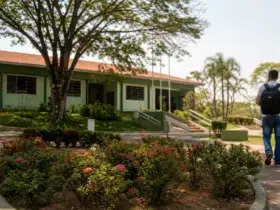 concurso Bento de Abreu SP cadastro reserva nível superior