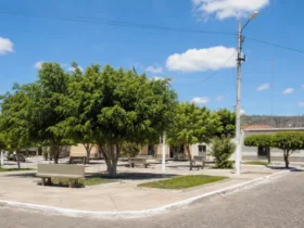 concurso Câmara de Vera Mendes (PI) 3 vagas salário mínimo
