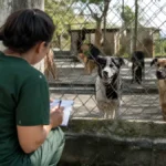 concurso FUJAMA Jaraguá do Sul Fiscal de Bem-estar Animal