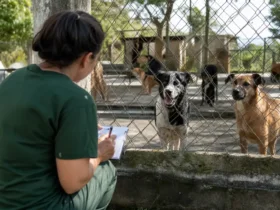 concurso FUJAMA Jaraguá do Sul Fiscal de Bem-estar Animal