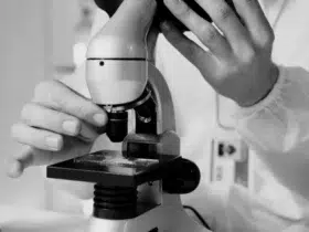 concurso IDAF ES 2026