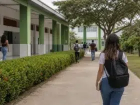 concurso IFPA 65 vagas