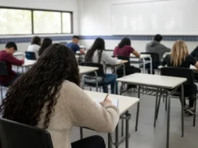 concurso Prefeitura de Tijucas 250 vagas