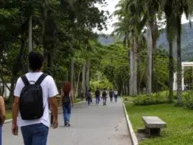 concurso público UFRRJ 13 vagas imediatas