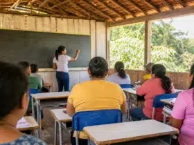 curso de especialização gratuito UFPI Currículo e Prática Pedagógica