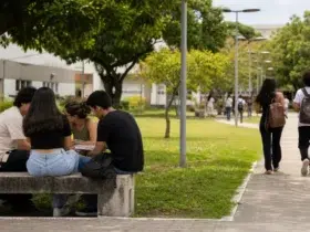 curso de mestrado e doutorado em sociologia UFC 2027