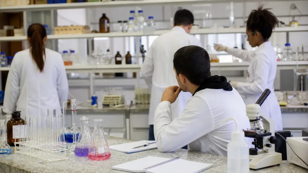 curso de mestrado e doutorado gratuito UNESP Educação para a Ciência