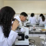 curso gratuito de licenciatura no IFS 2026