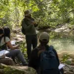 curso gratuito Educação Ambiental UFPel MEC
