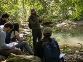 curso gratuito Educação Ambiental UFPel MEC