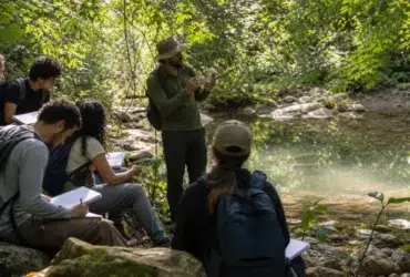 curso gratuito Educação Ambiental UFPel MEC