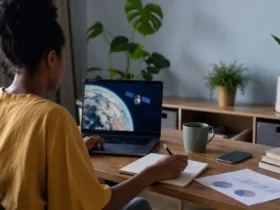 curso gratuito empreendedorismo digital online AEB PNUD