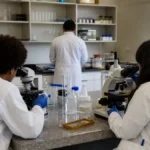 curso gratuito IFRJ mestrado doutorado ensino de ciências
