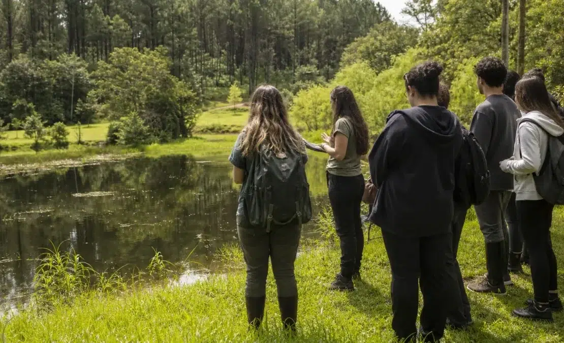 curso gratuito IFRS Educação Ambiental sorteio