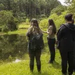 curso gratuito IFRS Educação Ambiental sorteio