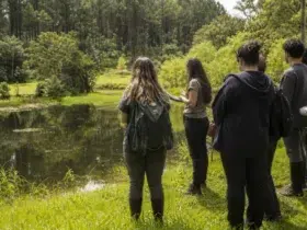 curso gratuito IFRS Educação Ambiental sorteio