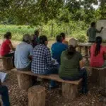 curso gratuito Licenciatura em Educação do Campo UNIR