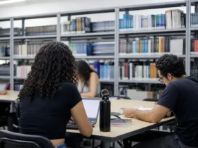 curso gratuito mestrado doutorado UFMA 2027
