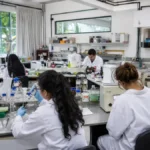 curso gratuito mestrado e doutorado UFPE 2027