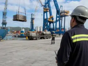 curso gratuito OGMO Itajaí seletivo nível médio