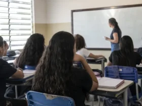 curso gratuito prefeitura de colíder educação nível médio
