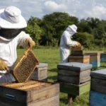 curso gratuito Qualifica Rural 2026