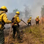 curso gratuito SENAI 2025