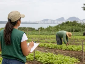 curso gratuito SENAI 2025