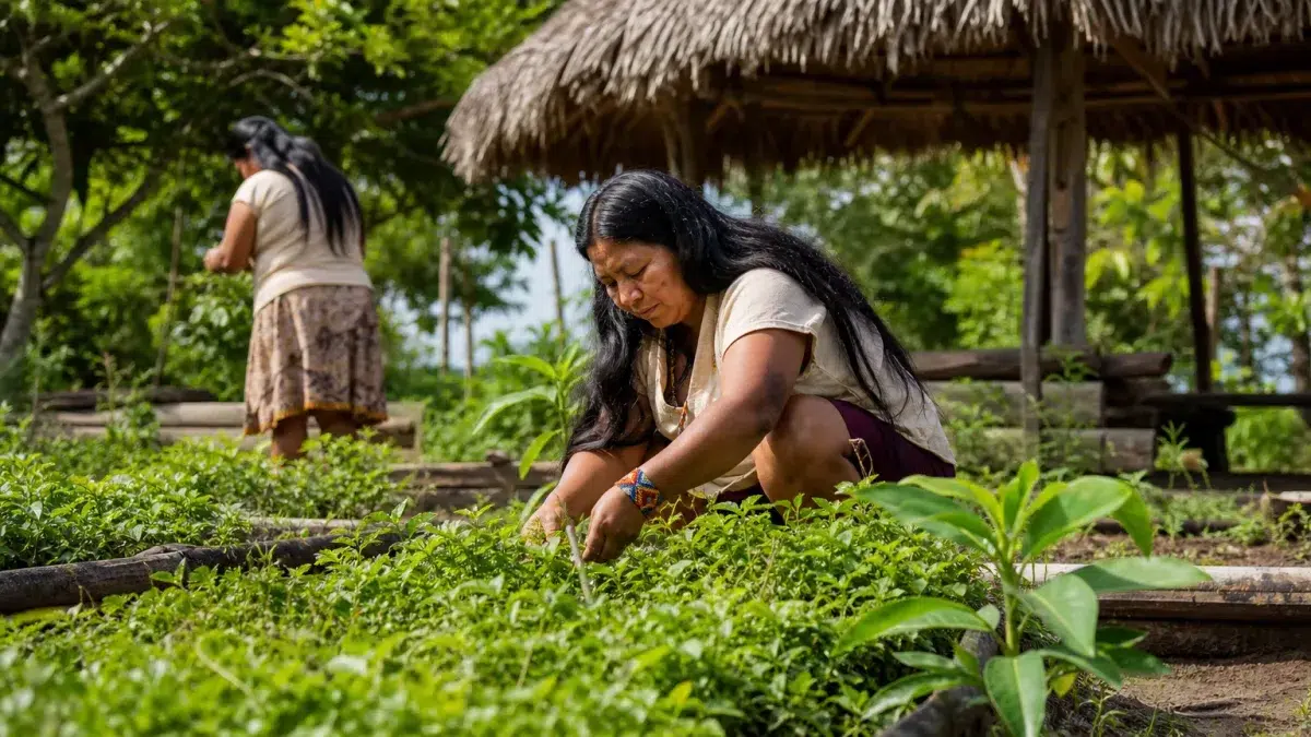 curso gratuito SESA CE agente indígena de cultivo 16 vagas