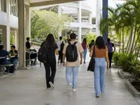 curso gratuito UEPB sem Enem 2026.2