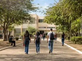 curso gratuito Uesb portadores de diploma 2027