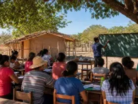 curso gratuito UNIVASF Educação do e no Campo EAD