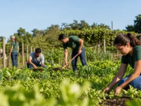 curso técnico gratuito IF Baiano Agricultura Zootecnia