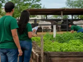 curso técnico gratuito IF Baiano Guanambi 2026.2