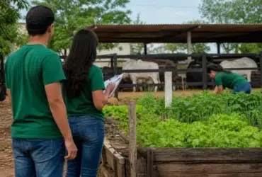 curso técnico gratuito IF Baiano Guanambi 2026.2