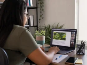 cursos gratuitos online do IFSul com certificado
