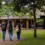 cursos superiores gratuitos UEMS 2027