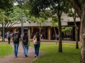 cursos superiores gratuitos UEMS 2027
