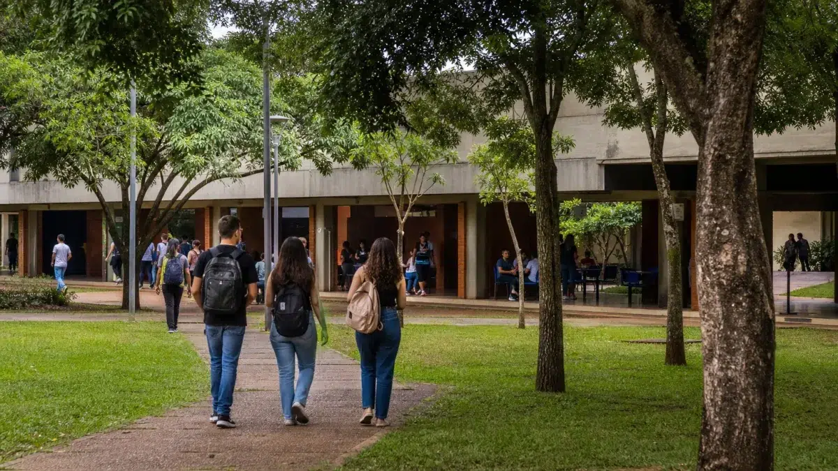 cursos superiores gratuitos UEMS 2027