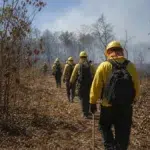 edital Prefeitura de Barão de Melgaço MT brigadista florestal
