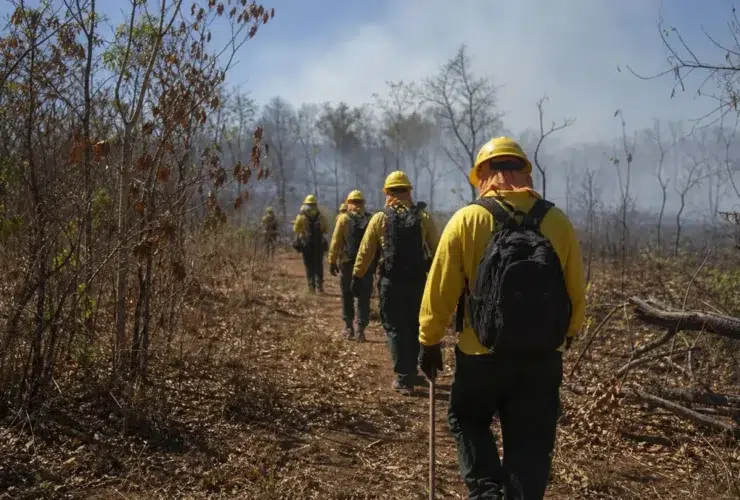 edital Prefeitura de Barão de Melgaço MT brigadista florestal