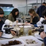 especialização gratuita Ciências Marinhas Aplicadas ao Ensino 2027