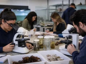 especialização gratuita Ciências Marinhas Aplicadas ao Ensino 2027