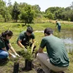 especialização gratuita Educação Ambiental IFRS 2026