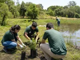 especialização gratuita Educação Ambiental IFRS 2026