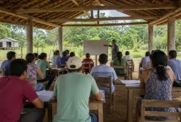 especialização gratuita Inovações Curriculares na Educação do Campo