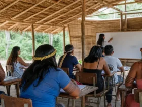 Licenciatura em Educação Intercultural Indígena UFMT 2026