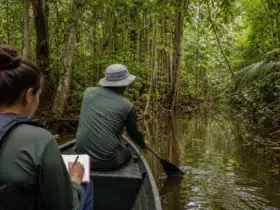 mestrado em Clima e Ambiente do Inpa
